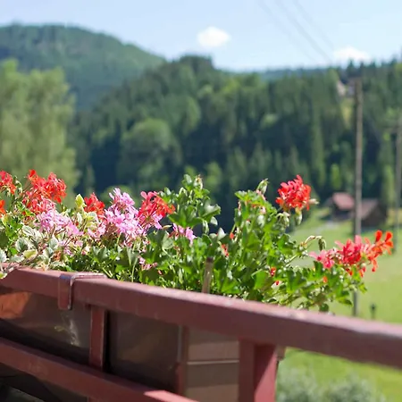 Gaestehaus Herrmann Pensión 3*