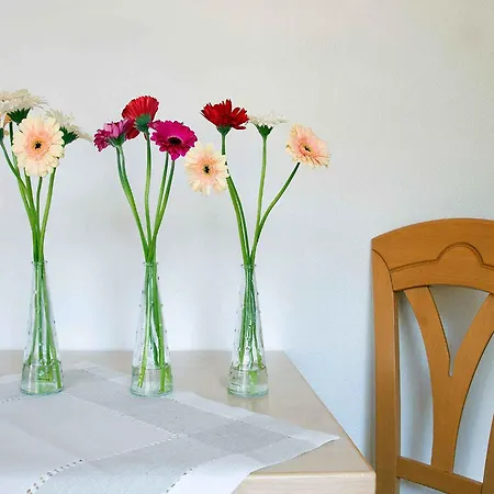 Gaestehaus Herrmann Bad Rippoldsau-Schapbach