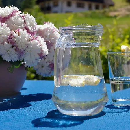 Guest house Gaestehaus Herrmann