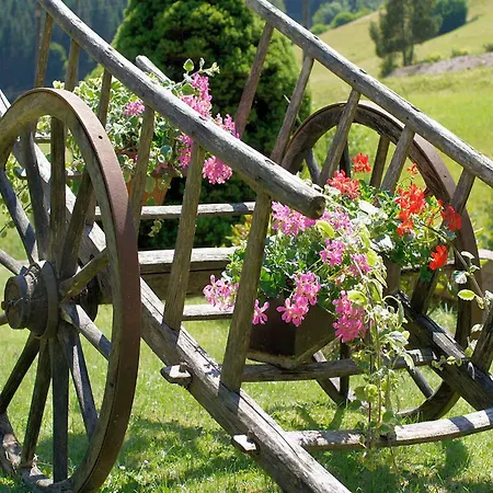 Gaestehaus Herrmann Bad Rippoldsau-Schapbach