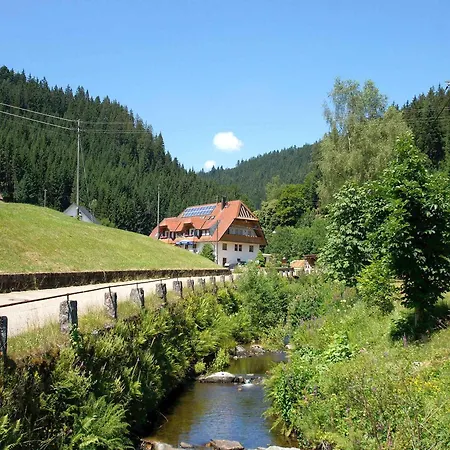 Gaestehaus Herrmann Gæstehus Bad Rippoldsau-Schapbach