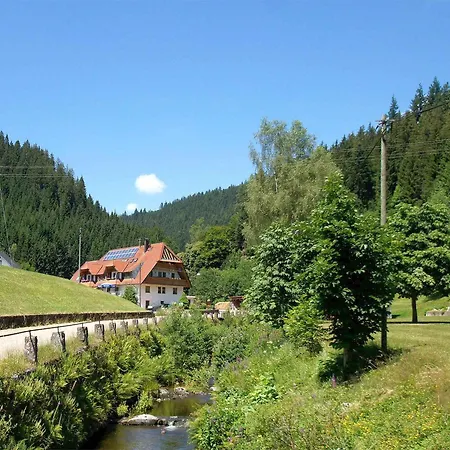 Gaestehaus Herrmann Bad Rippoldsau-Schapbach