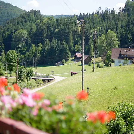 Gaestehaus Herrmann Guest house Bad Rippoldsau-Schapbach